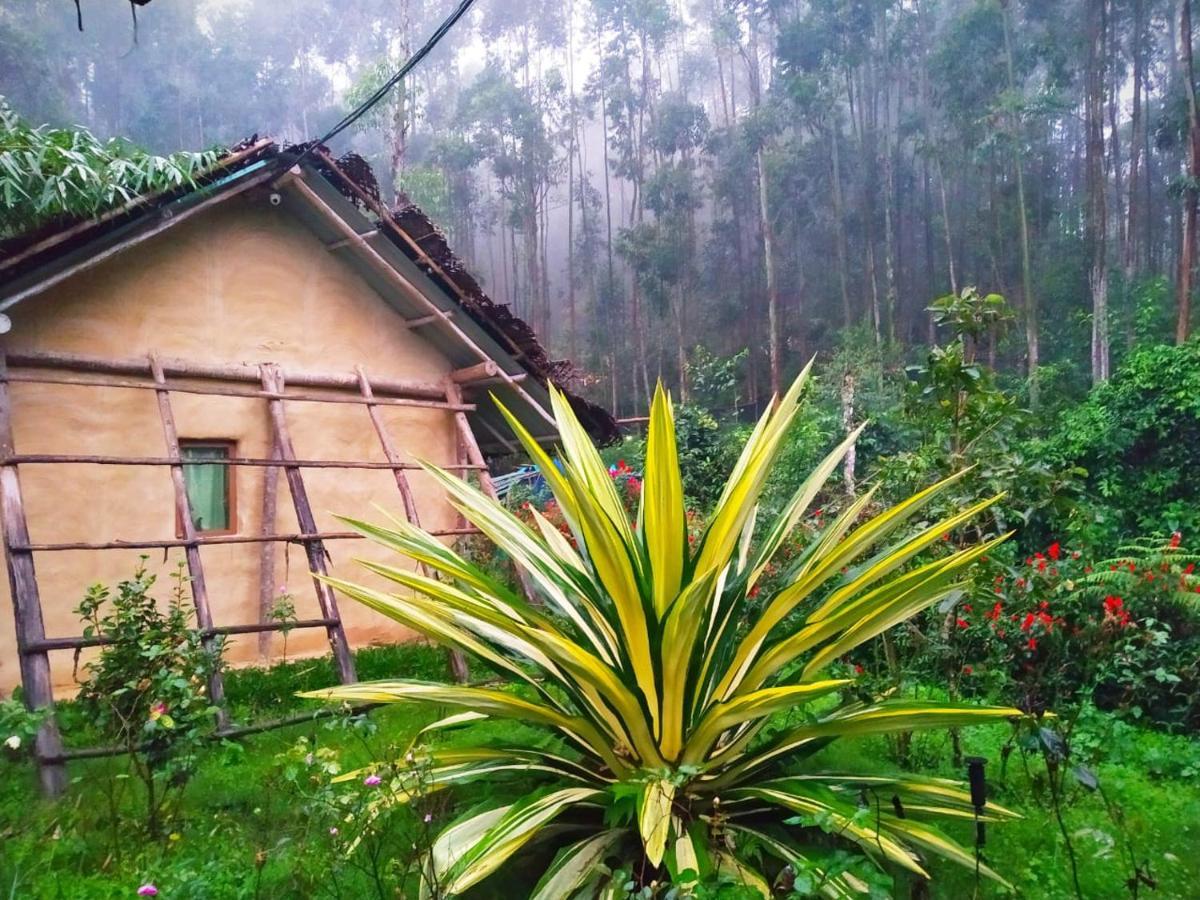 Chalet Anandavana Jungle Living By Lexstays - Kanthalloor-marayur
